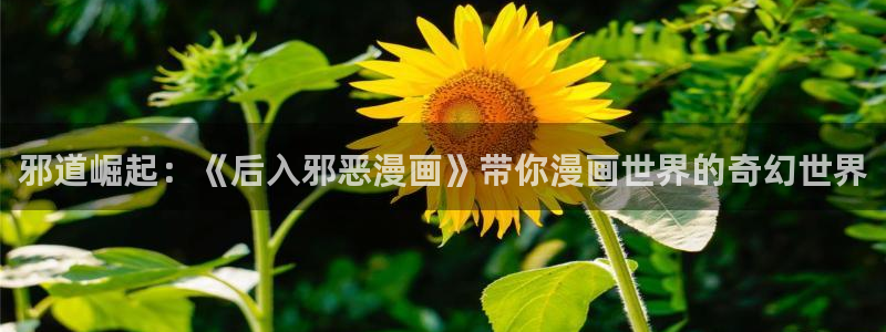 虫虫漫画开心网