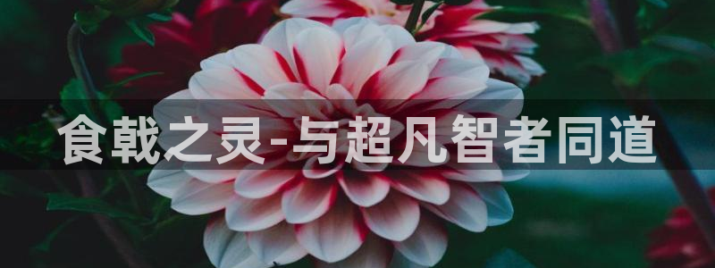 虫虫漫画韩漫在线观看免费网站