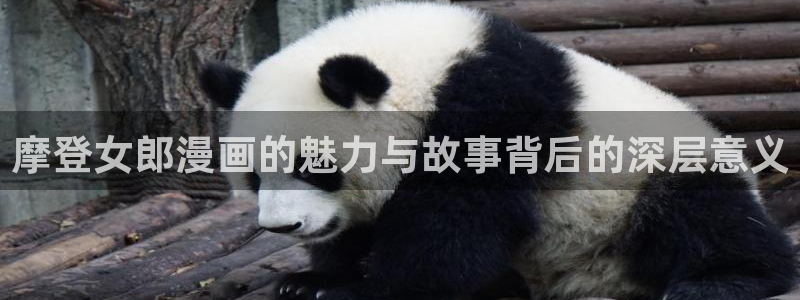 虫虫漫画免费阅读下拉式