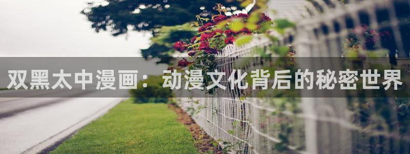 虫虫漫画m