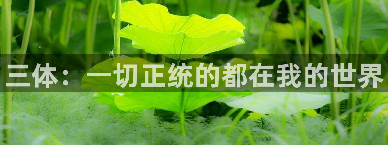虫虫漫画的网站