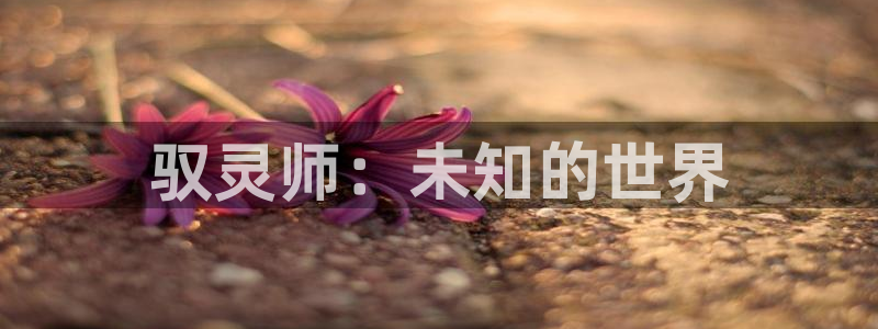 虫虫漫画免费漫画网站