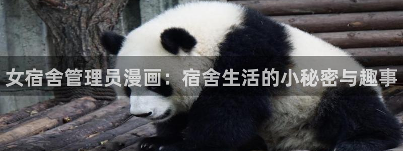 虫虫漫画登录：女宿舍管理员漫画：宿舍生活的小秘密与趣事