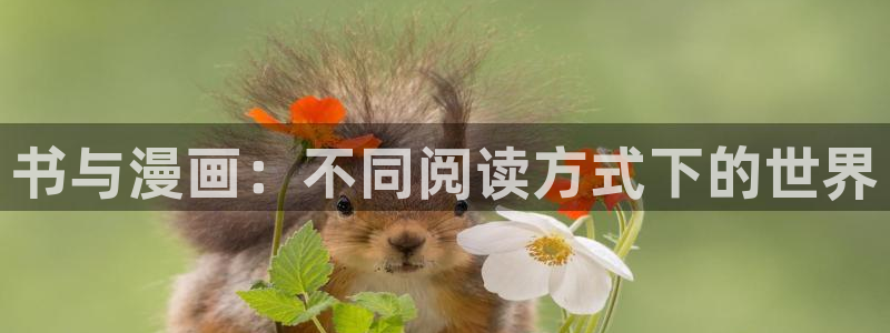 虫虫漫画在线免费观看漫画：书与漫画：不同阅读方式下的世界