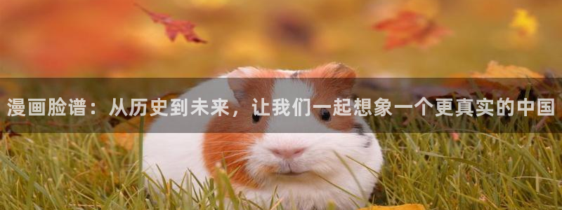 虫虫漫画吧1000字