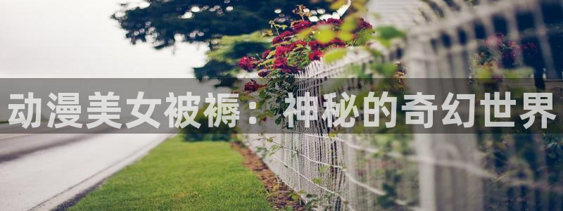 虫虫漫画怎么免费看漫画：动漫美女被褥：神秘的奇幻世界