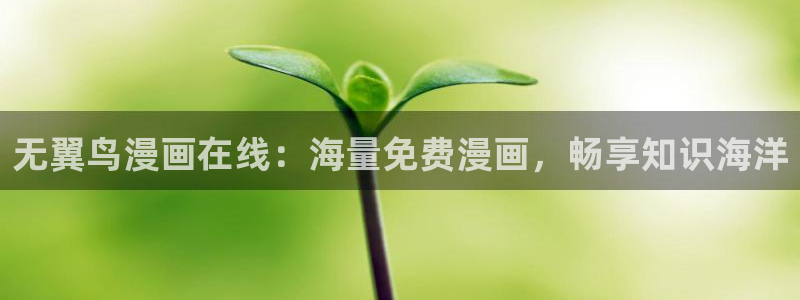 虫虫漫画免费观看：无翼鸟漫画在线：海量免费漫画，畅享知识海洋