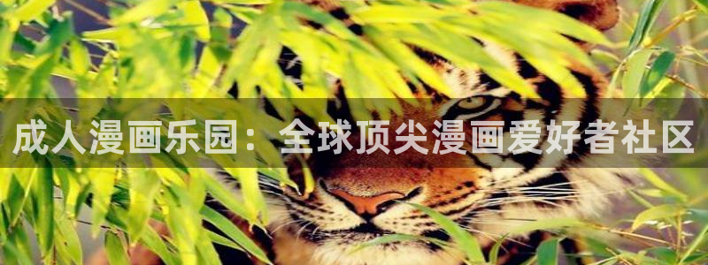 虫虫漫画网站入口：成人漫画乐园：全球顶尖漫画爱好者社区