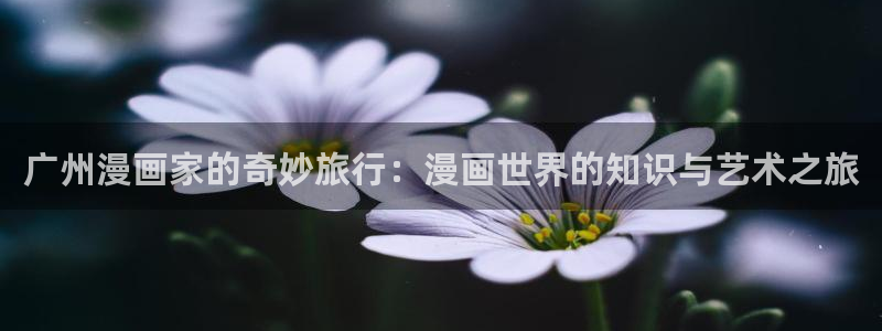 虫虫漫画免费在线：广州漫画家的奇妙旅行：漫画世界的知识与艺术之旅