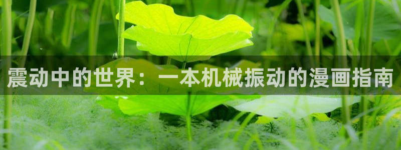 虫虫漫画怎么进入：震动中的世界：一本机械振动的漫画指南