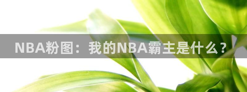 虫虫漫画下载安装：NBA粉图：我的NBA霸主是什么？