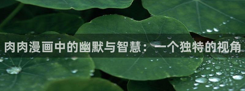 虫虫漫画韩漫在线观看：肉肉漫画中的幽默与智慧：一个独特的视角