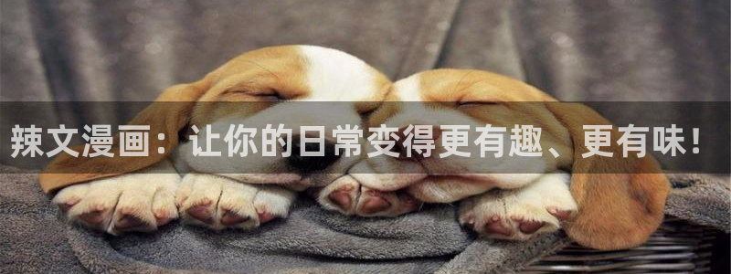 重考生(虫虫漫画)：辣文漫画：让你的日常变得更有趣、更有味！