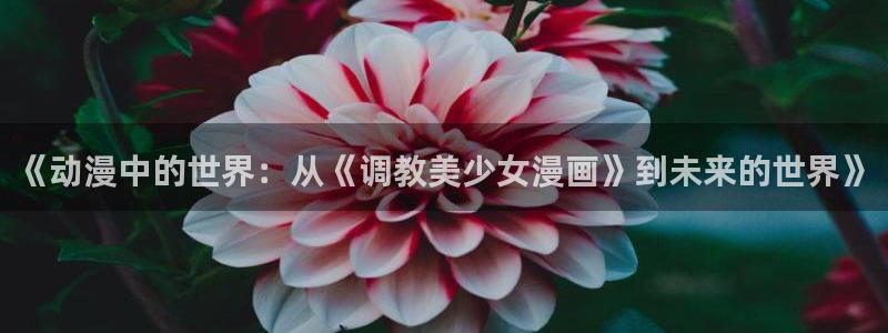 虫虫漫画排行榜：《动漫中的世界：从《调教美少女漫画》到未来的世界》
